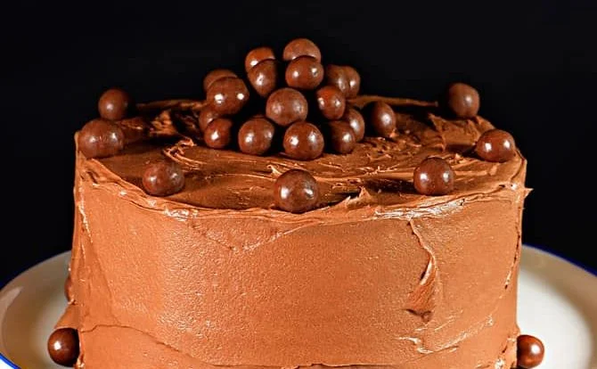 Malted Chocolate Cake